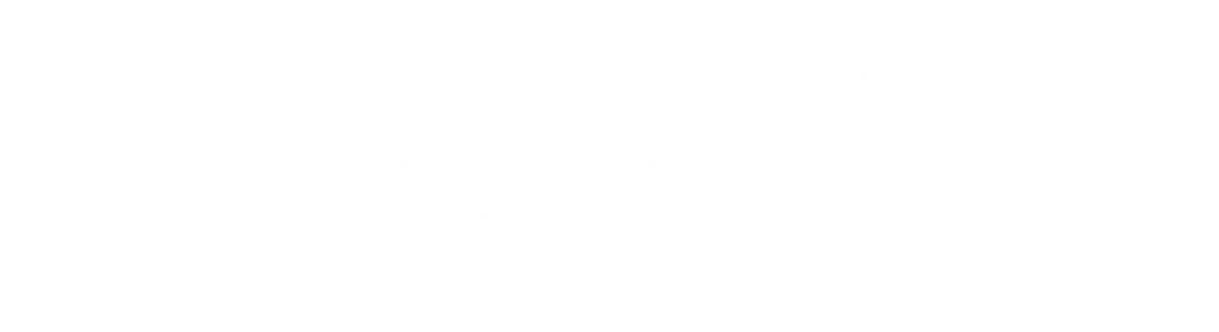 logo-2